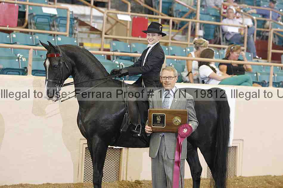 Proof 12yn_19812