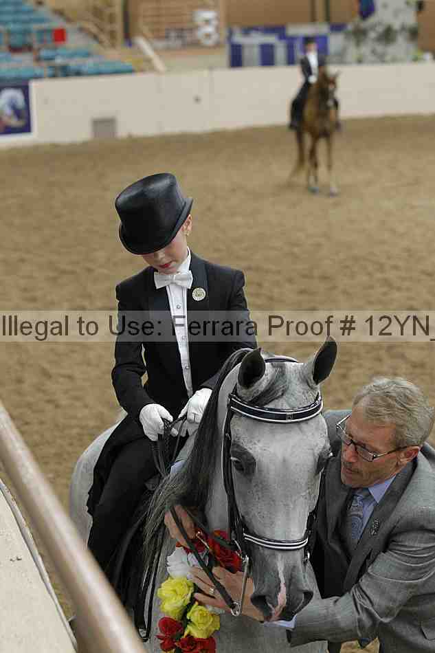 Proof 12yn_19827
