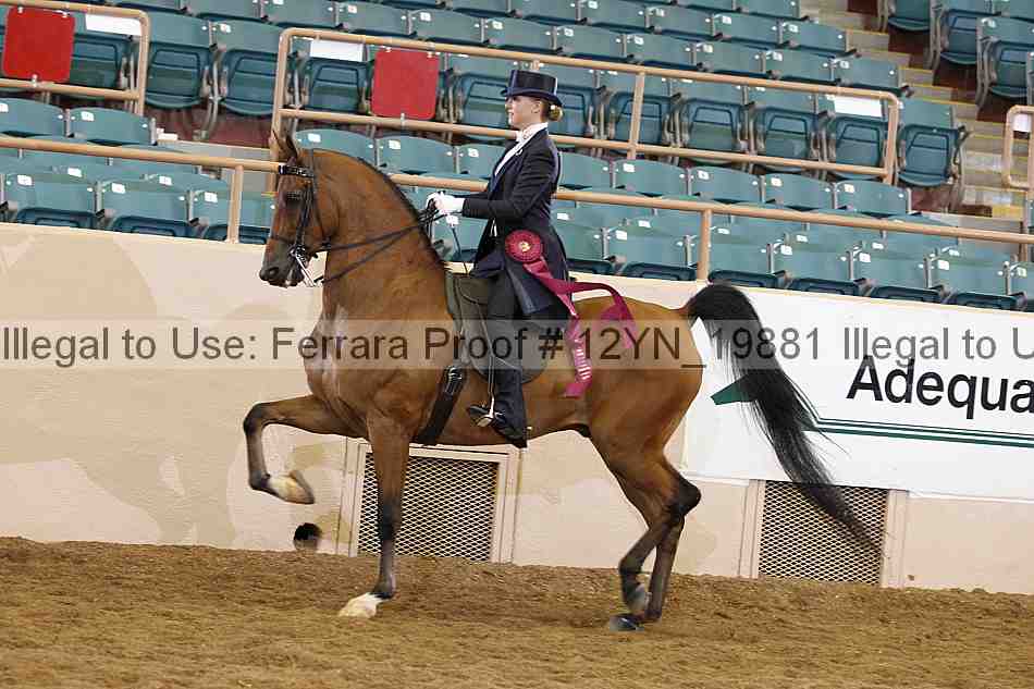 Proof 12yn_19881