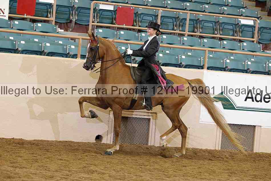 Proof 12yn_19901