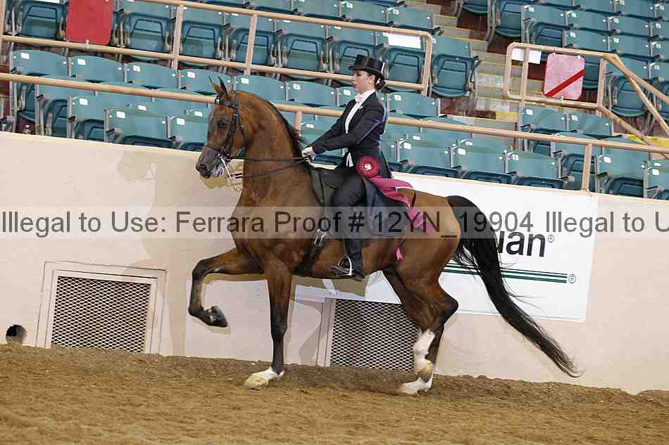Proof 12yn_19904