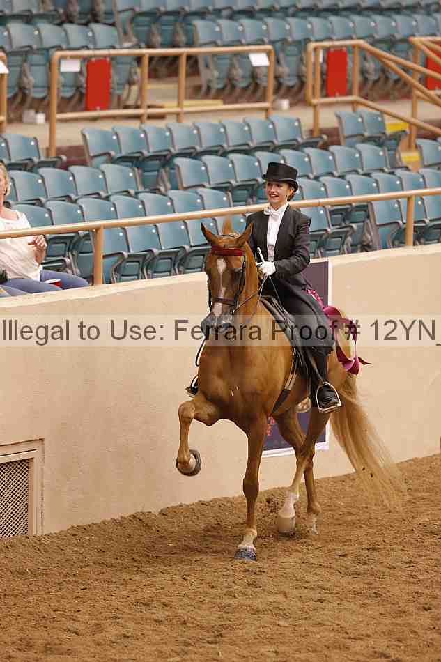 Proof 12yn_19906