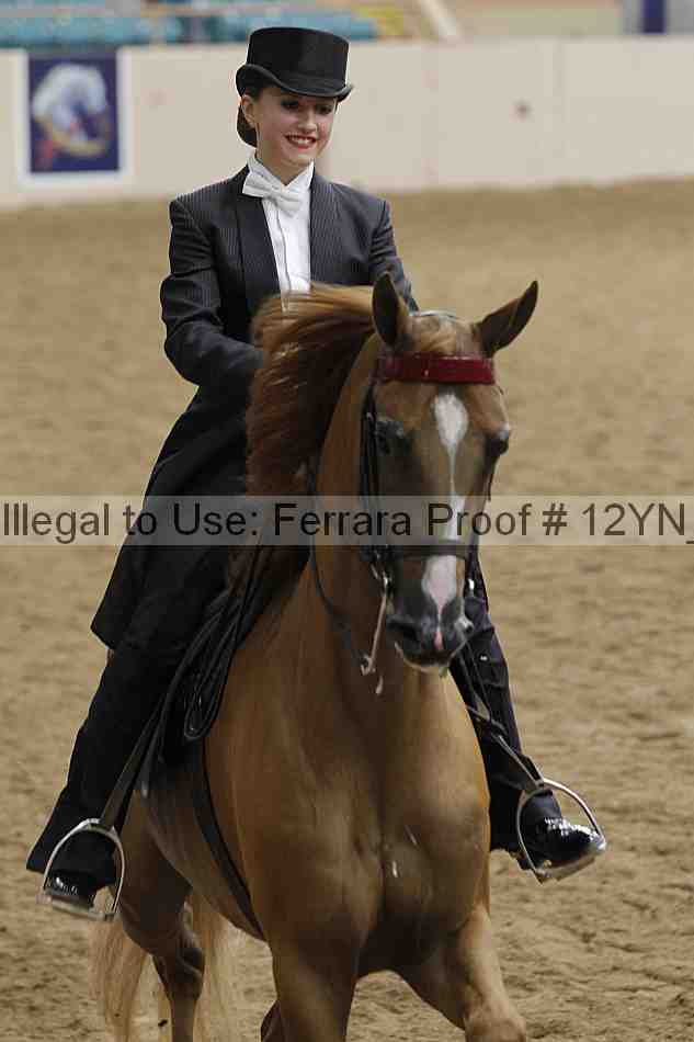 Proof 12yn_19909