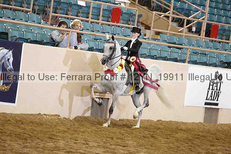 Proof 12yn_19911