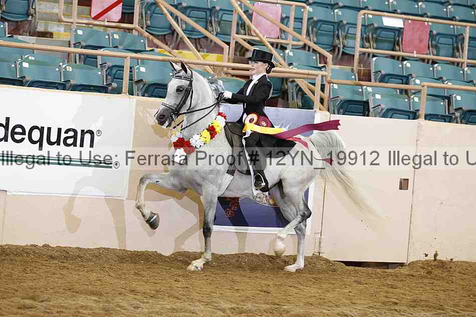 Proof 12yn_19912