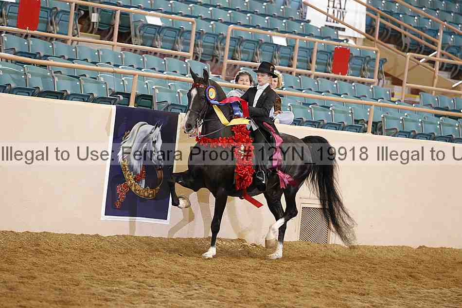 Proof 12yn_19918