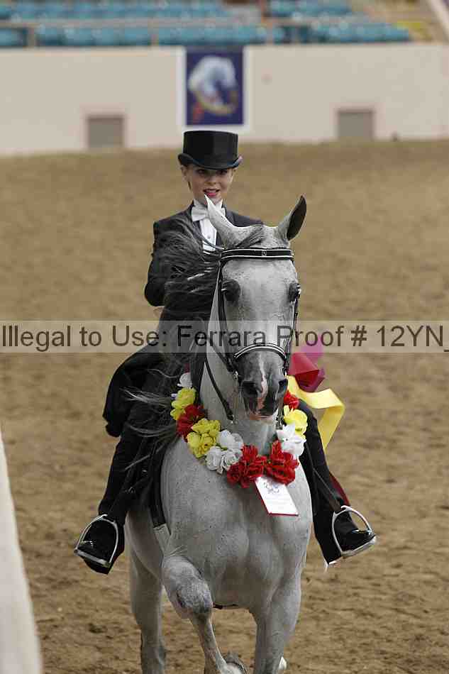 Proof 12yn_19921