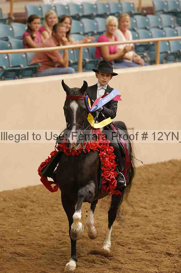 Proof 12yn_19925