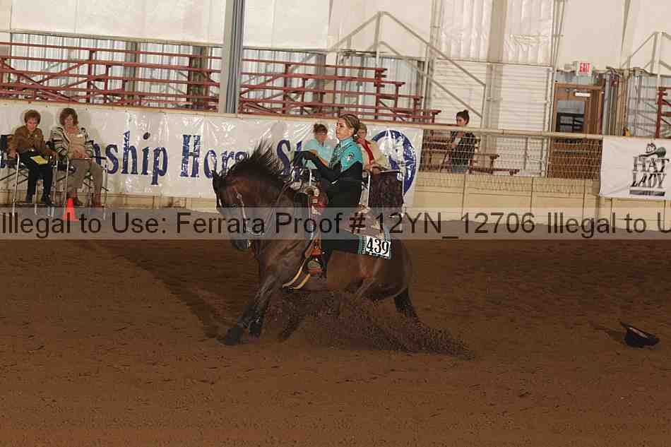 Proof 12yn_12706