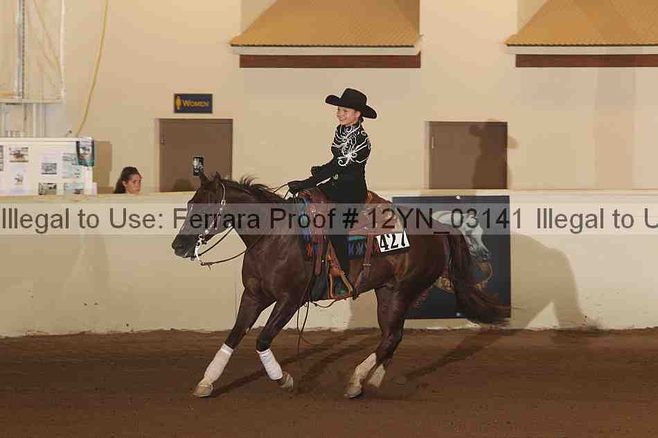 Proof 12yn_03141