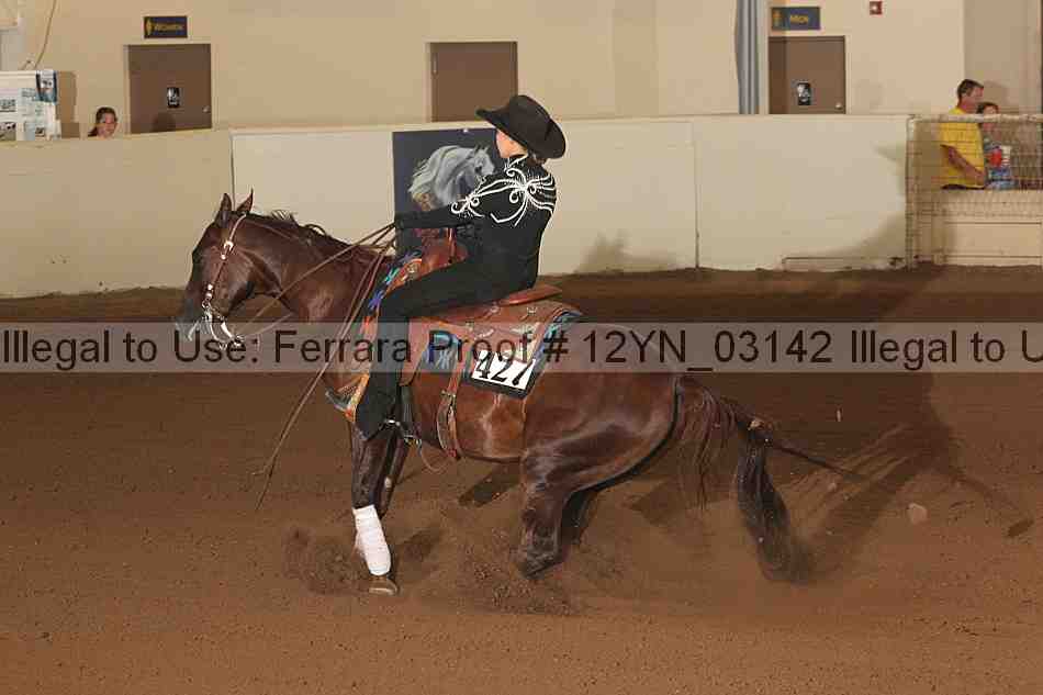 Proof 12yn_03142