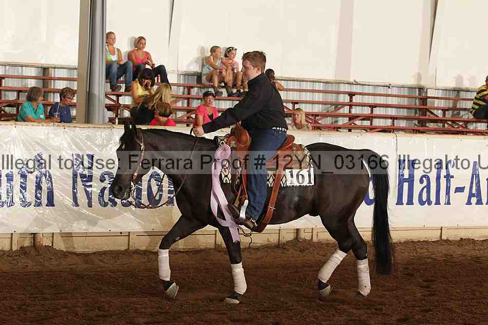 Proof 12yn_03166