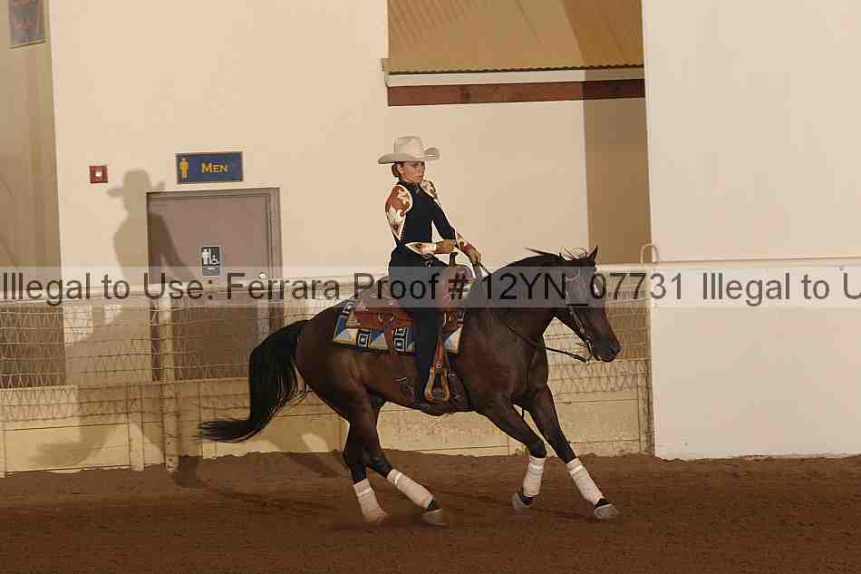 Proof 12yn_07731