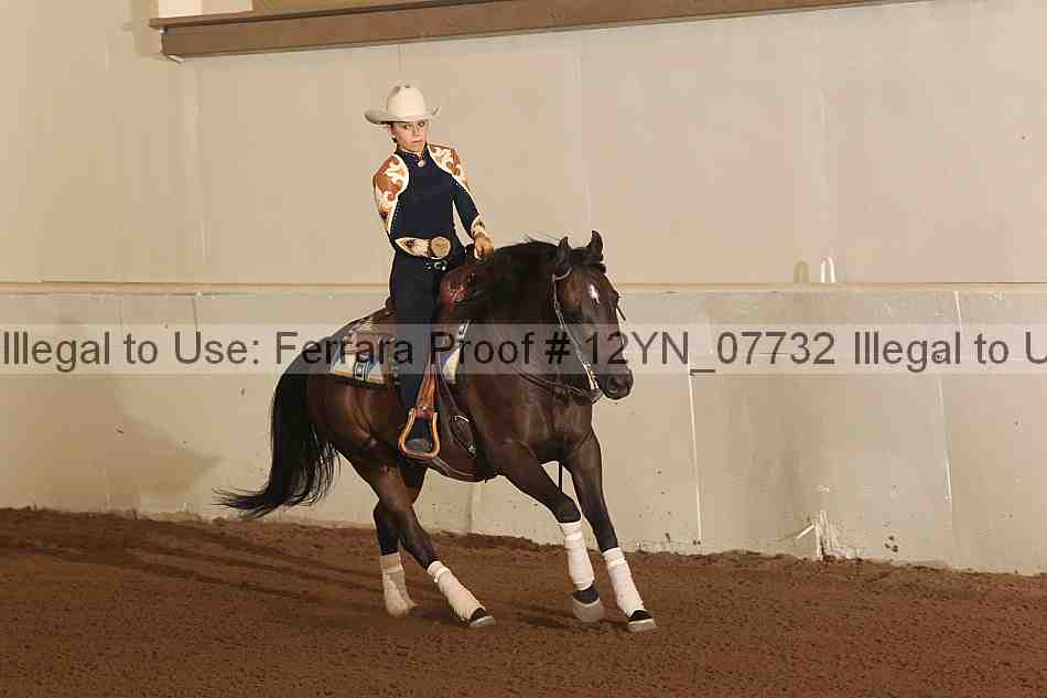 Proof 12yn_07732