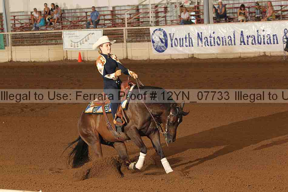 Proof 12yn_07733