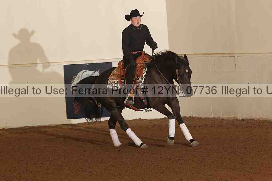 Proof 12yn_07736