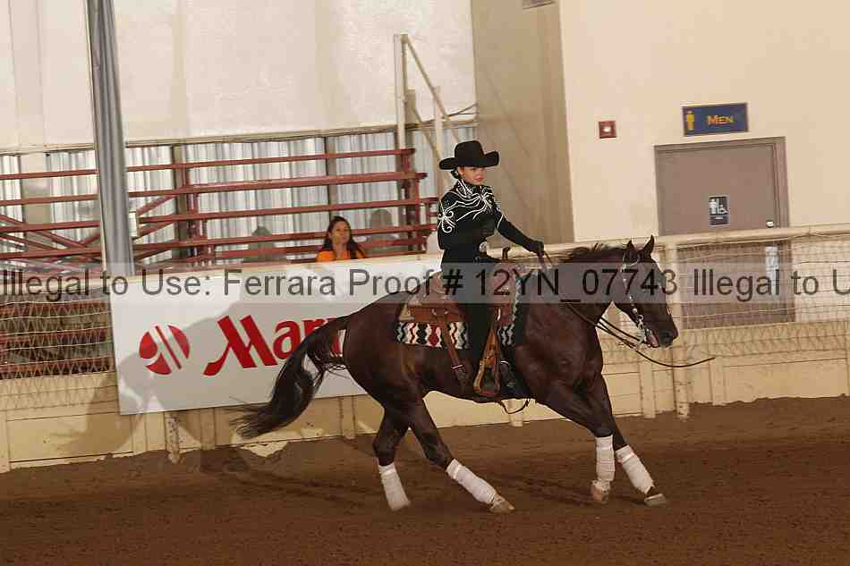 Proof 12yn_07743