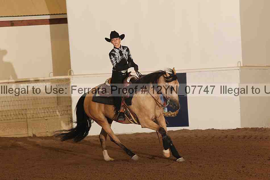 Proof 12yn_07747