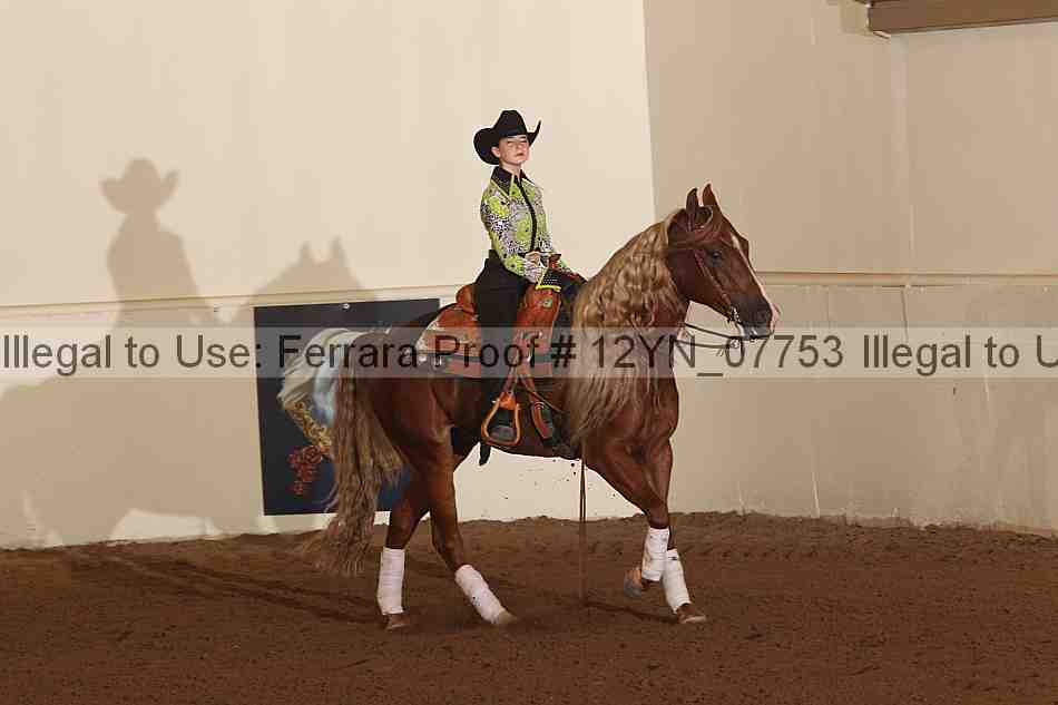 Proof 12yn_07753