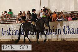 12yn_15631 proof