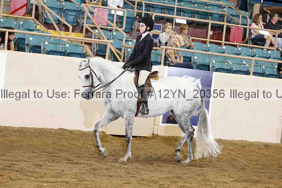Proof 12yn_20356