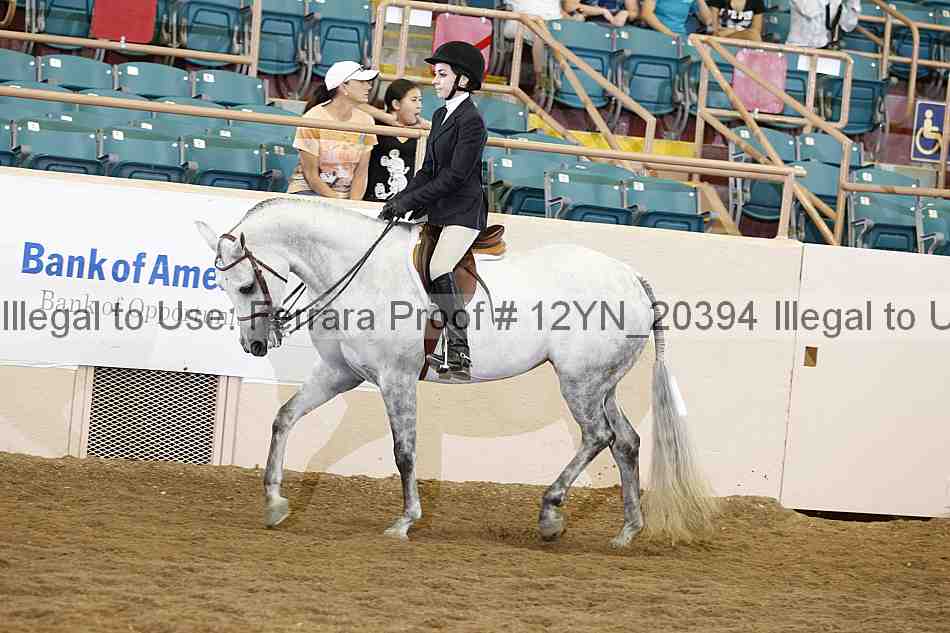 Proof 12yn_20394