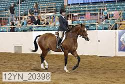 12yn_20398 proof