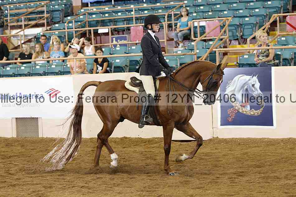 Proof 12yn_20406