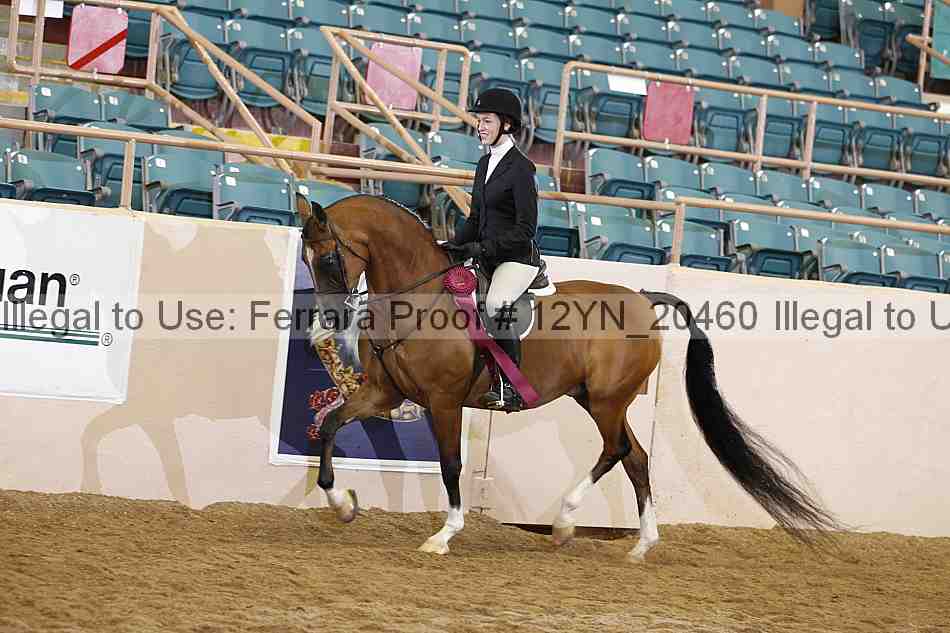 Proof 12yn_20460
