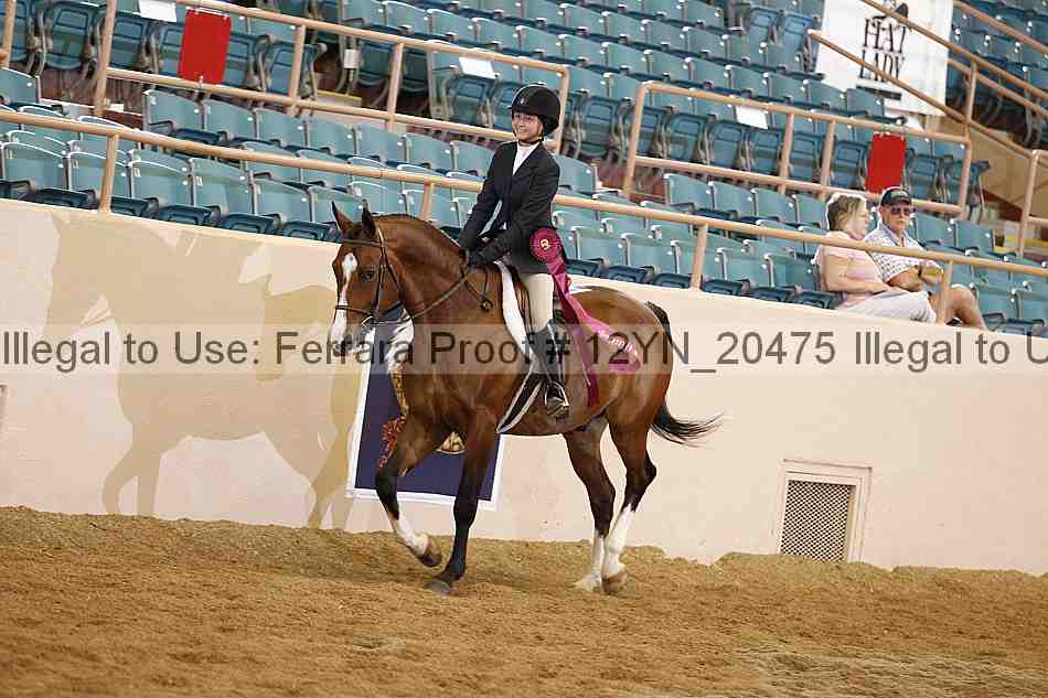 Proof 12yn_20475