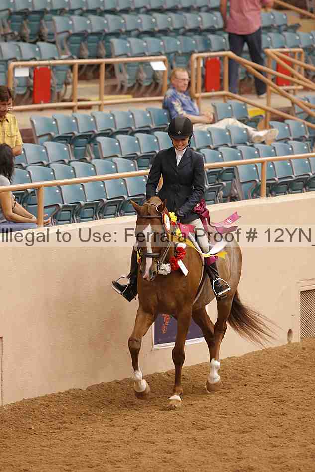 Proof 12yn_20494