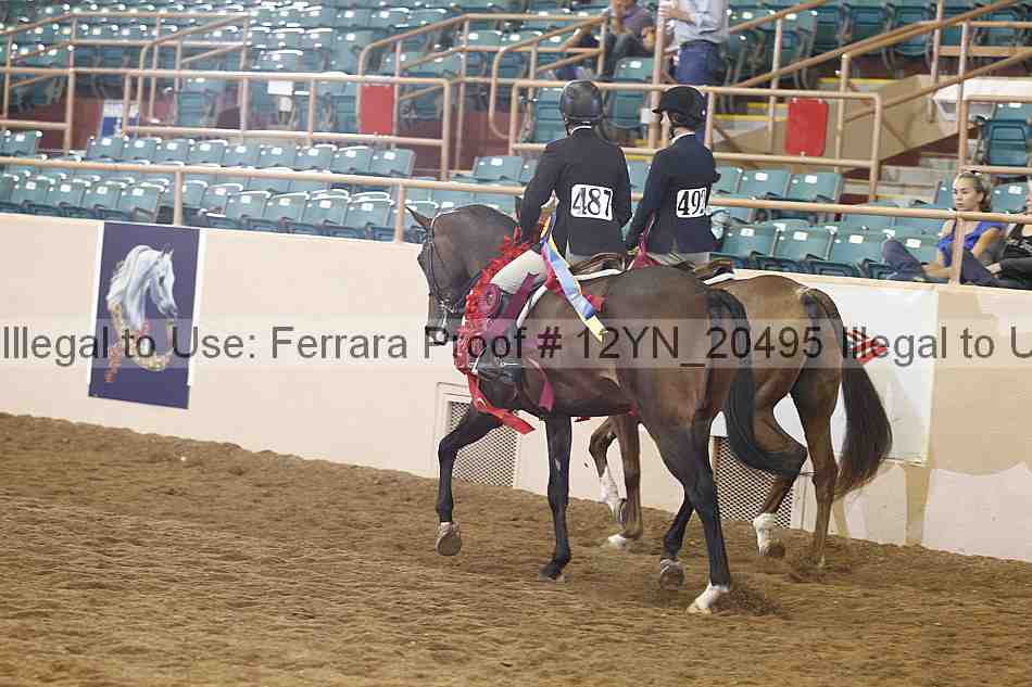 Proof 12yn_20495