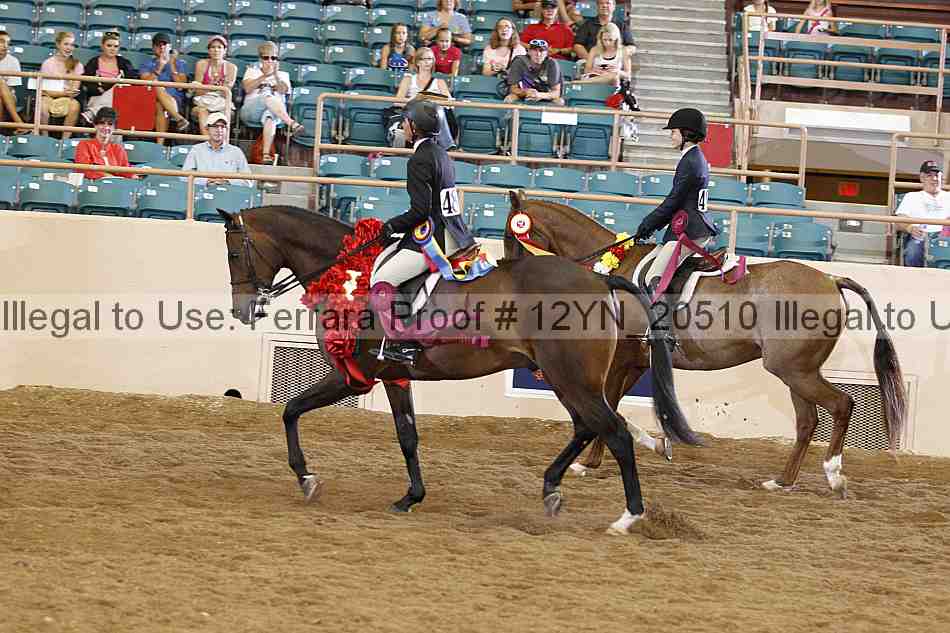 Proof 12yn_20510