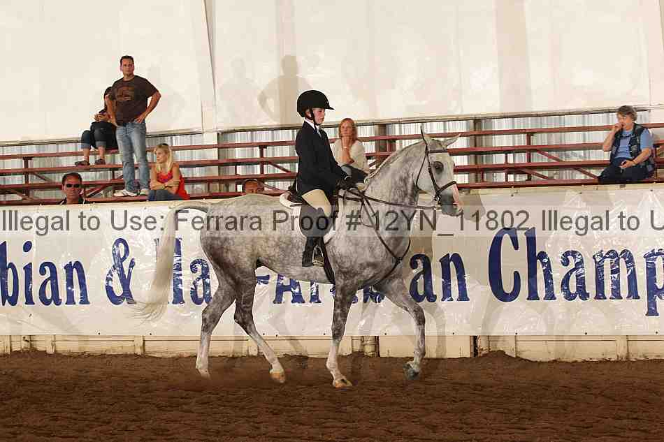 Proof 12yn_11802