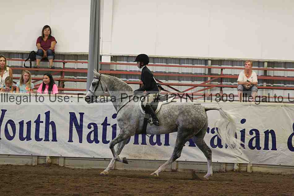 Proof 12yn_11809