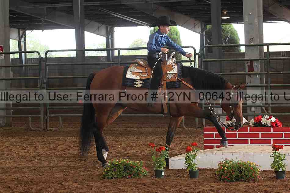 Proof 12yn_00643