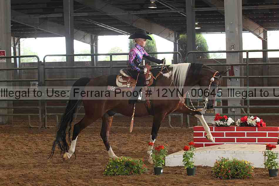 Proof 12yn_00645