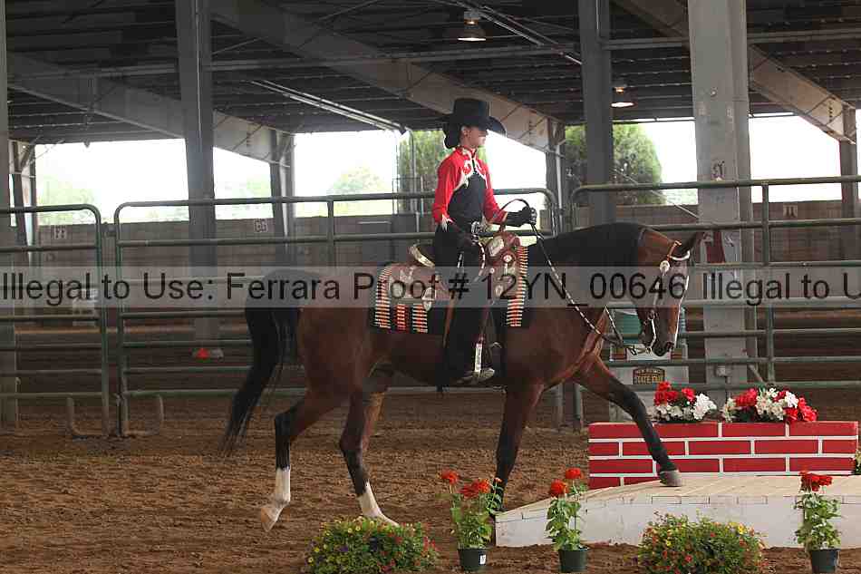 Proof 12yn_00646