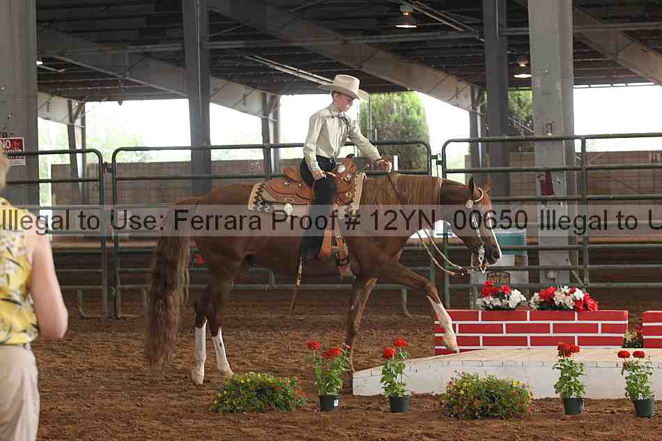 Proof 12yn_00650