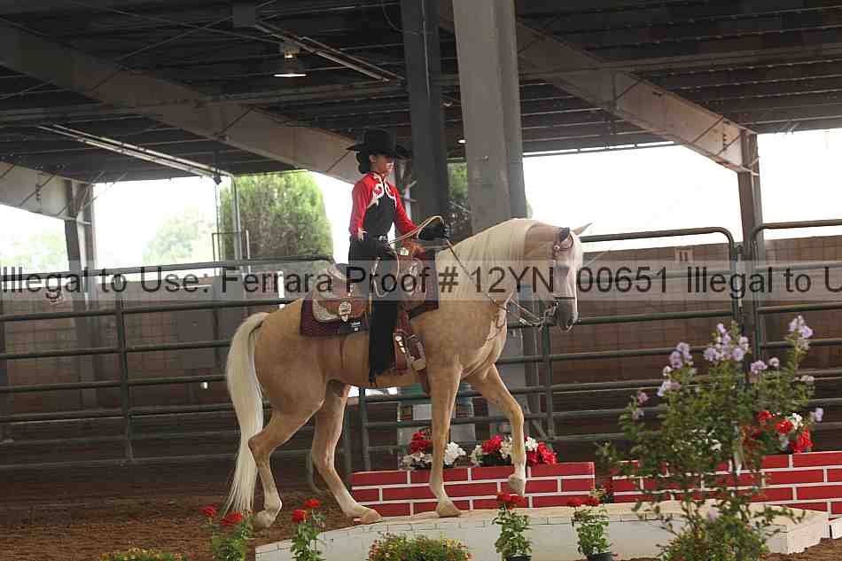 Proof 12yn_00651