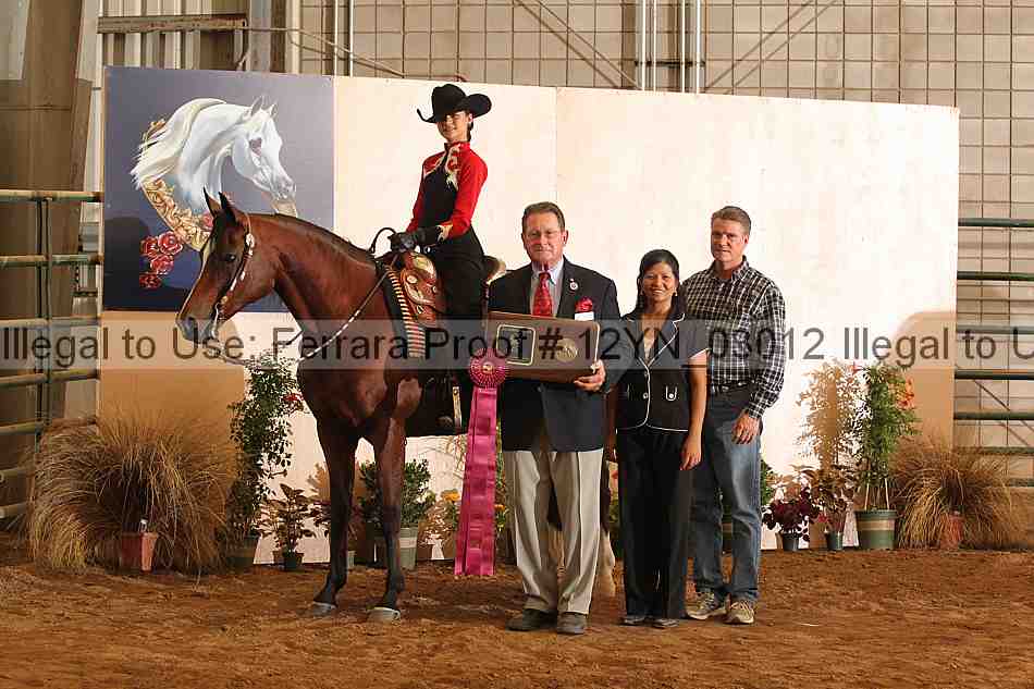 Proof 12yn_03012