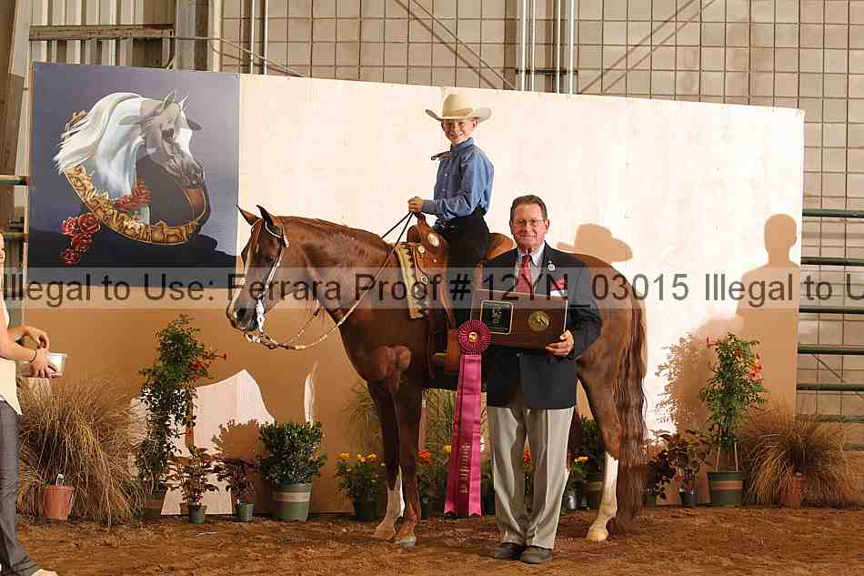 Proof 12yn_03015
