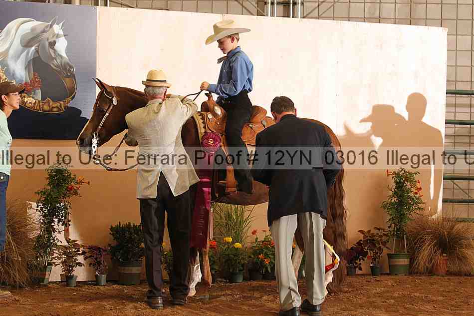 Proof 12yn_03016