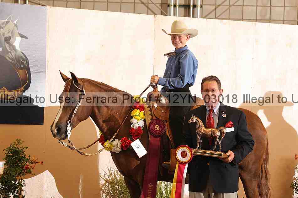 Proof 12yn_03018