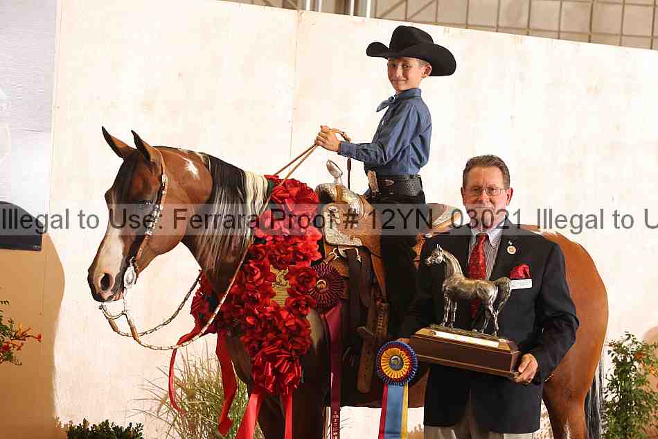 Proof 12yn_03021