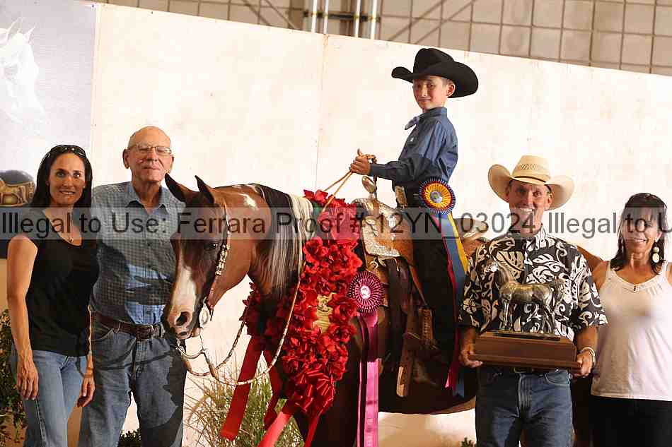 Proof 12yn_03024