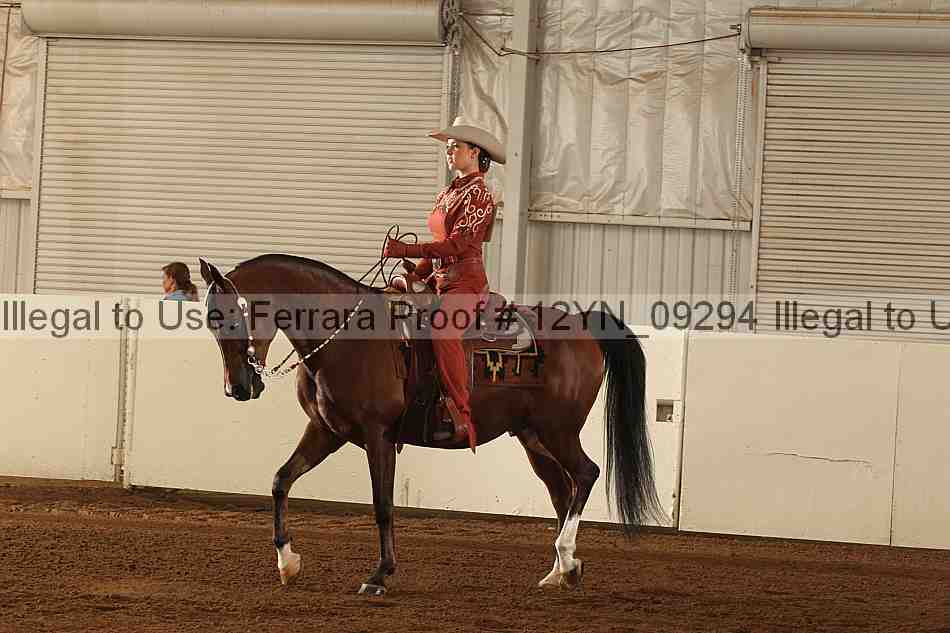 Proof 12yn_09294