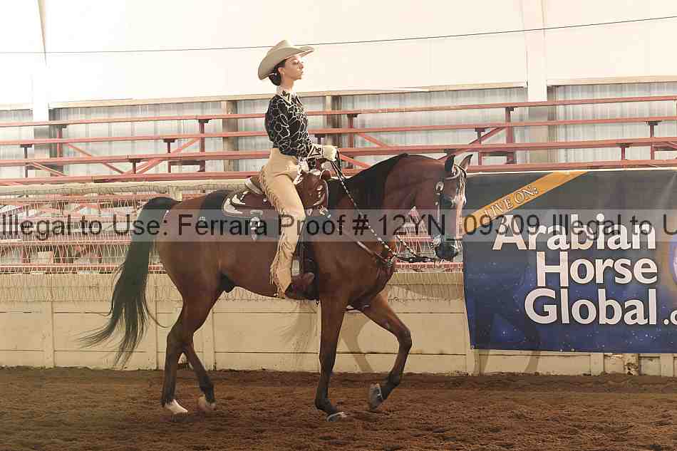 Proof 12yn_09309
