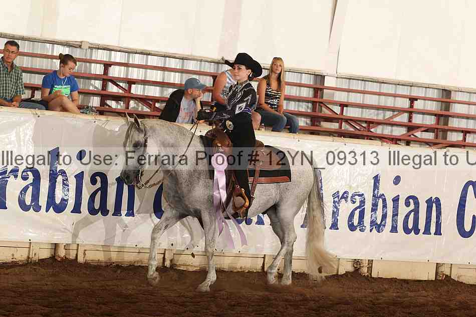 Proof 12yn_09313