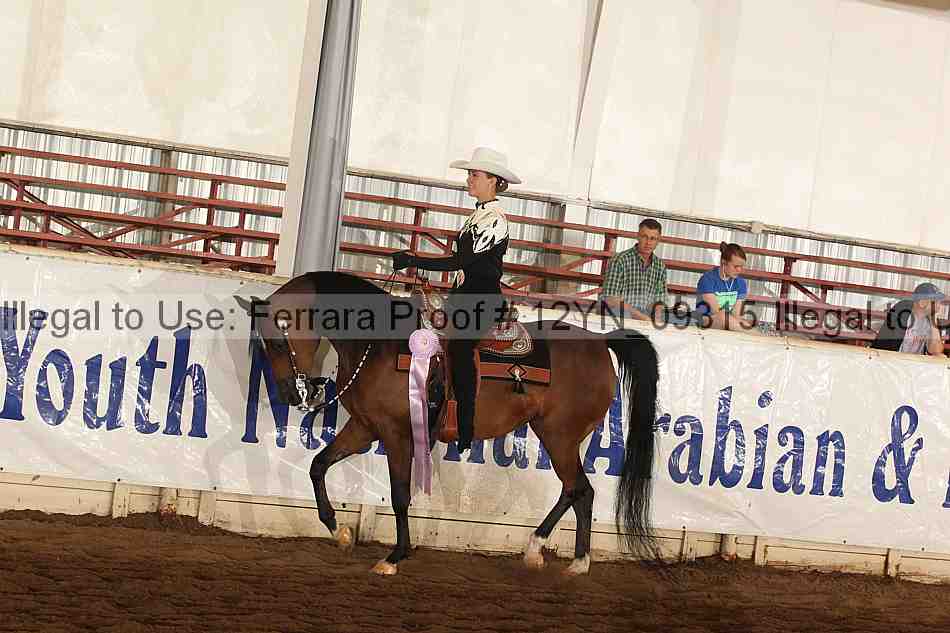 Proof 12yn_09315